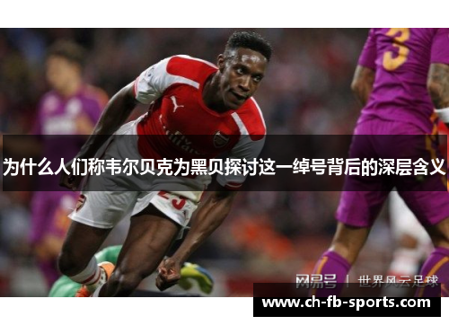 为什么人们称韦尔贝克为黑贝探讨这一绰号背后的深层含义