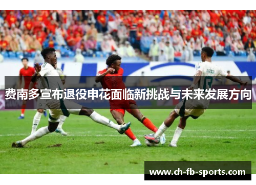 费南多宣布退役申花面临新挑战与未来发展方向
