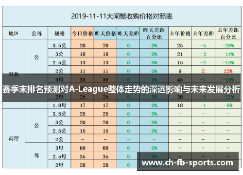 赛季末排名预测对A-League整体走势的深远影响与未来发展分析